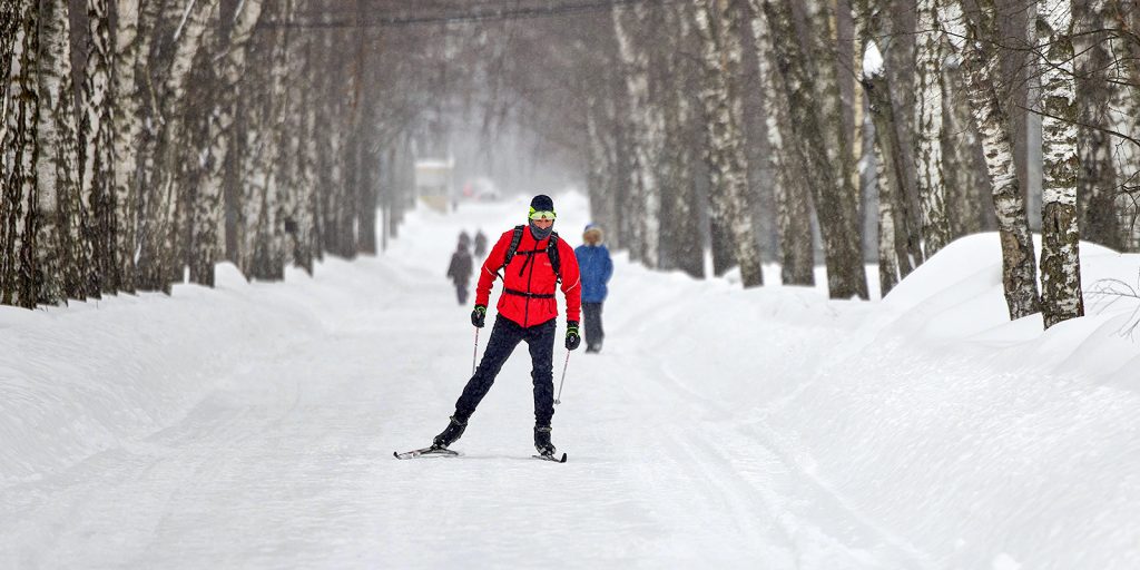 В Кузьминском парке стартовали бесплатные лыжные тренировки
