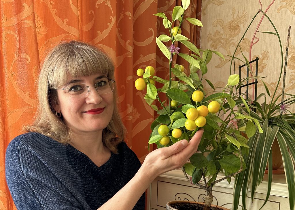 В квартире у жительницы Некрасовки скоро зацветут мандарины
