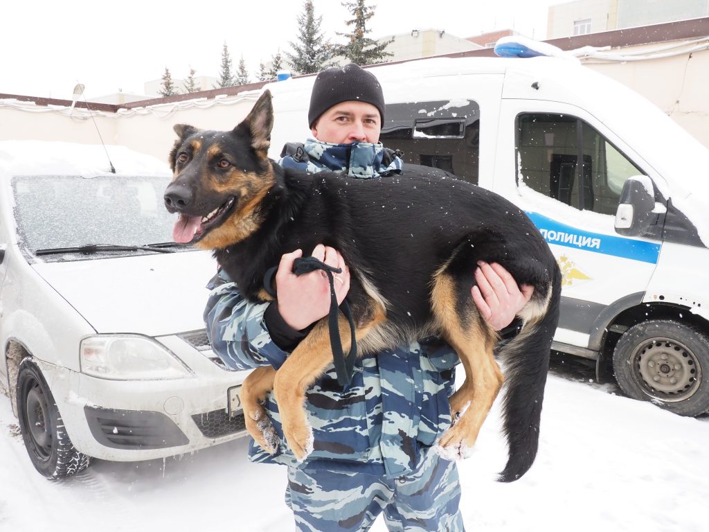 В Печатниках овчарка Давана помогла задержать нарушителя