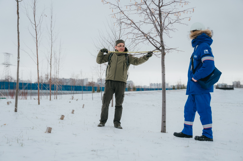 Экологи подтвердили вклад Московского НПЗ в озеленение города