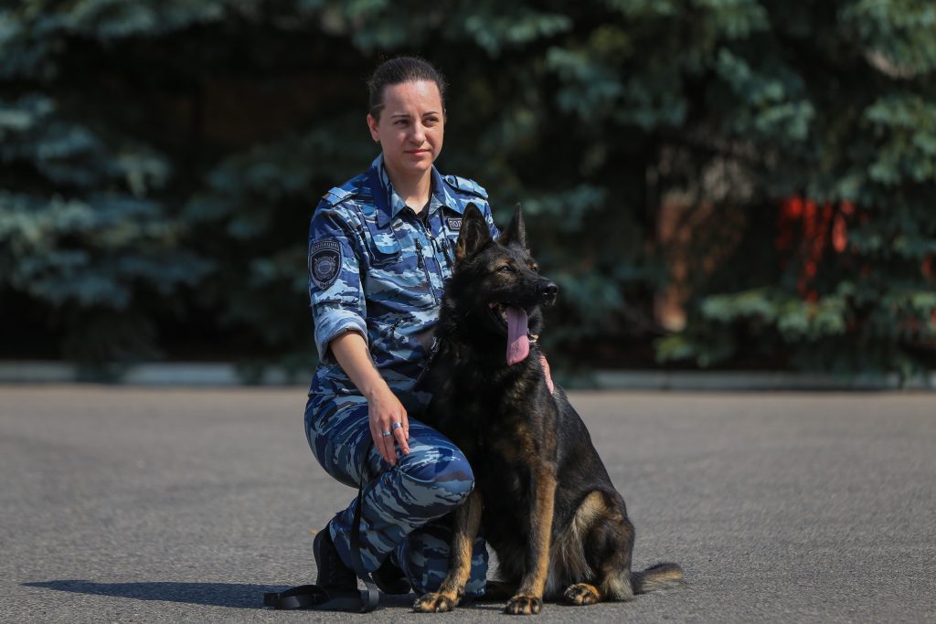 Полицейская собака Лекс отыскала наркотики в районе Капотня