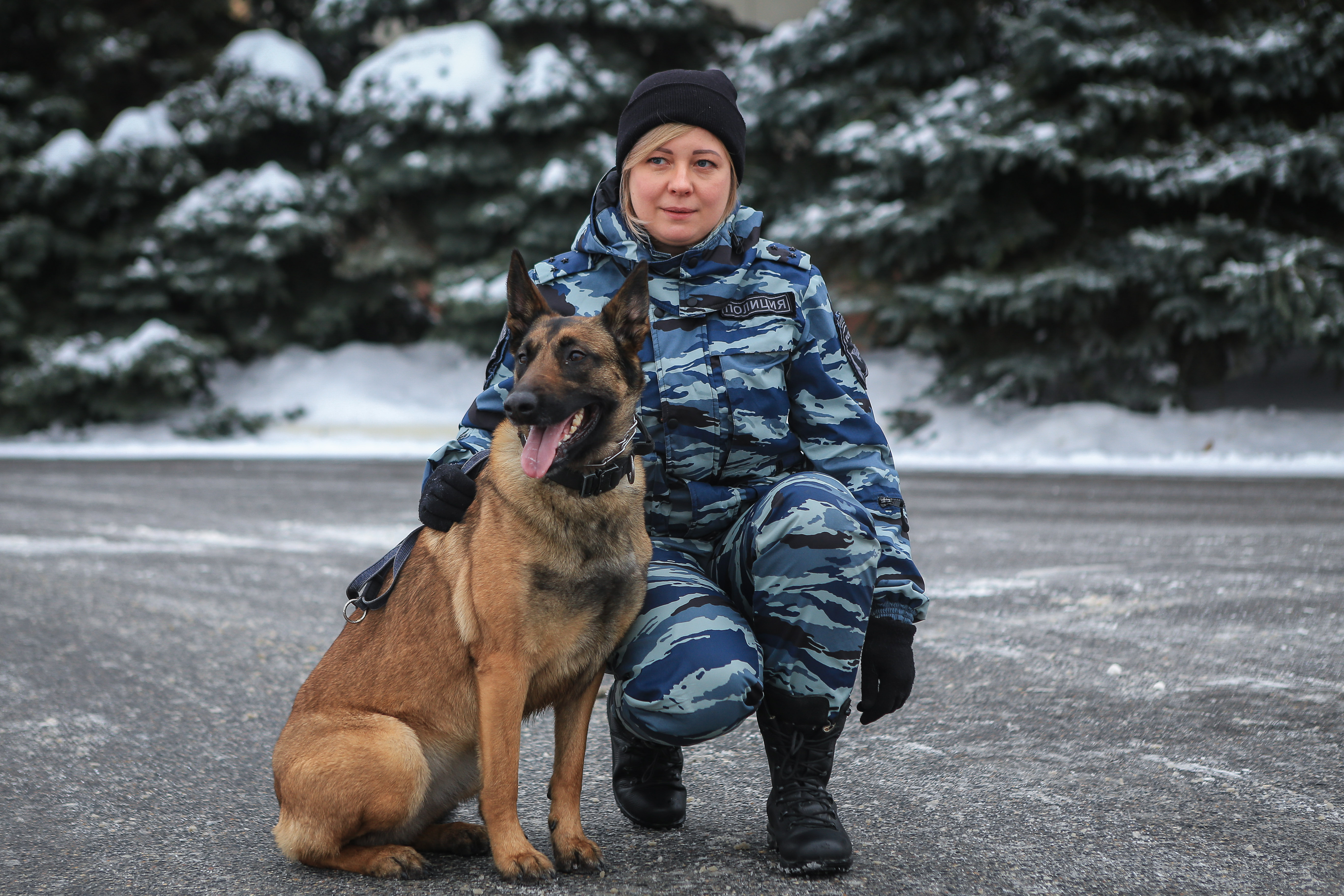 В Текстильщиках овчарка Ежевика раскрыла преступление | Юго-Восточный Курьер