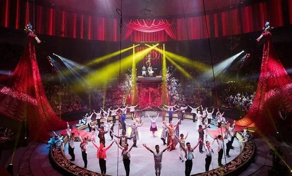 В Москве завершился Всемирный фестиваль циркового искусства «Идол-2024»