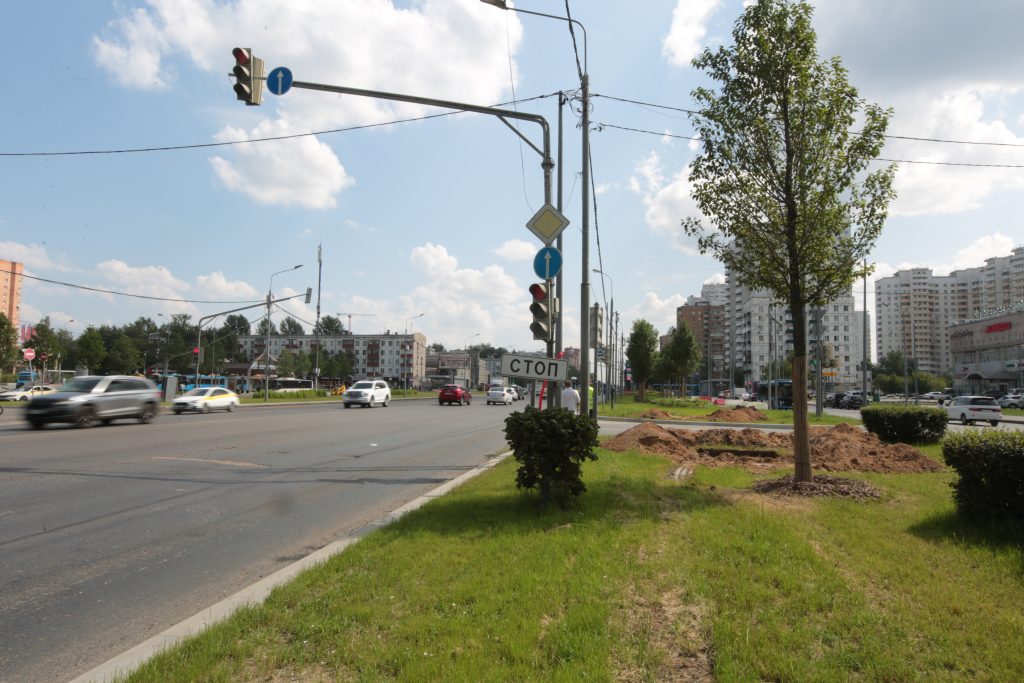 На Волгоградке светофоры перенастроят в пользу общественного транспорта