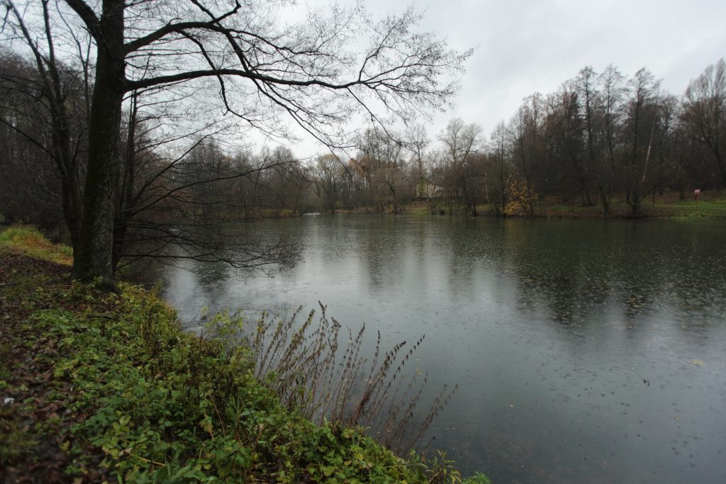 Верхний и Нижний Кузьминские пруды в ЮВАО приведут в порядок